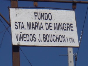 When Jonathan started laughing, I knew this was the vineyard sign.