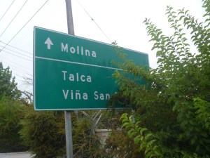 Even getting out of the car and peering into the bushes, I had trouble seeing which way  to the vineyard.