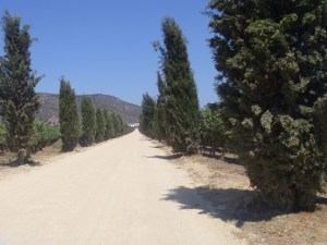 Or very impressive...