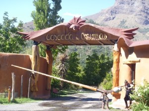 Raising the bar at Cascada de las Animas--beautiful metal work by Taller Pangal.
