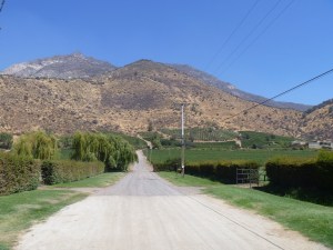 Vina El Principal, also known as the very far end of the Pirque Valley. From here the roads only go back.