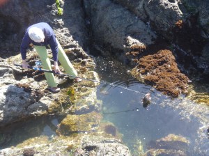 6.23 fishing for abalone shells-004
