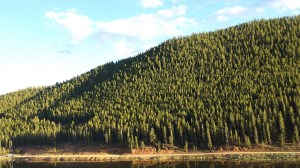 May312015 baileyCO-009