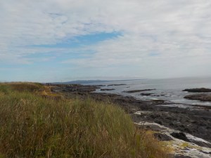 7.12.15 Bruhel point5sm