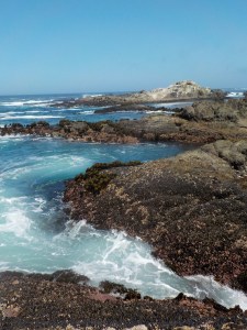 7.23.15 Caspar Headlands-002sm