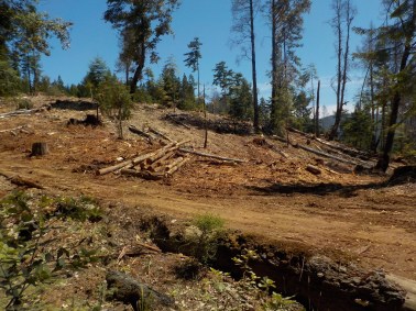 7.23.15Usal road.15-014