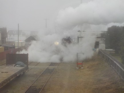 7.24.15 Skunk train steam-005sm