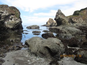 7.7.caspar headlands-006sm