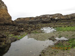 Glass Beach super low tide 7.5.15-008sm