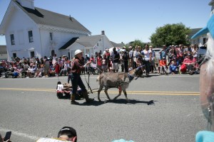 July 4. Mendo parade-008sm