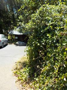 7.29.15 Dark Gulch-020