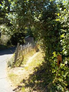 7.29.15 Dark Gulch-021