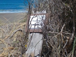 8.12.15 Manchester beachsm