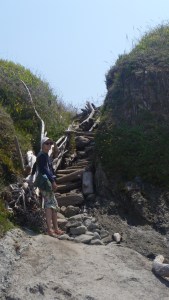 8.17.15 Jughandle N headlandssm