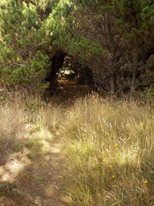 8.28.15 spring ranch-041sm