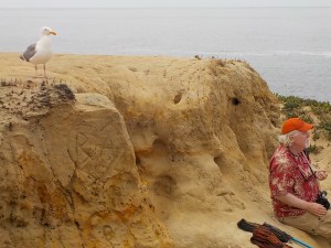 8.3.15 Mendo headlands-004
