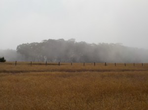 8.6.15 Spring Ranchsm1