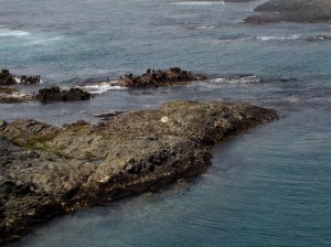 8.9.15 spring ranch-003sm