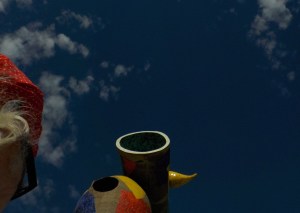 9.16.15 Woman w Bird-006sma