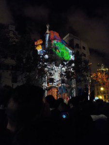 9.23.15 Casa Batllo-026sm