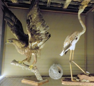 10.16.15 Jardi Botanic-004sm