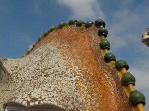 9.29.15 Casa Batllo-037sm