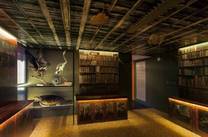 salvadoriana_exposicion_01