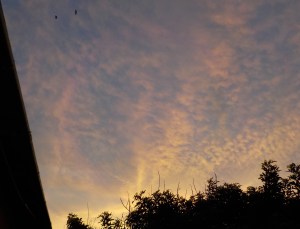 12.3.15 Barranca-014sm