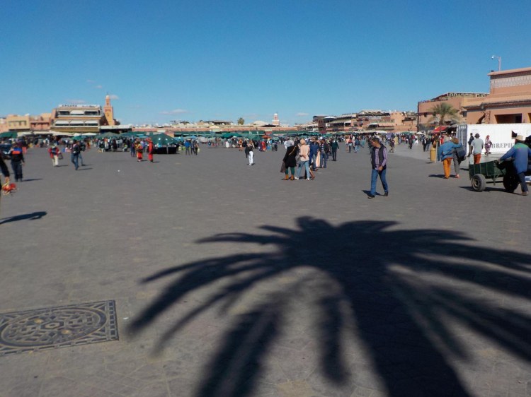 3.10.16 Mor Day 2-037sm