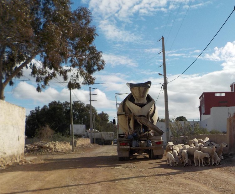 3.21.16 Essaouira-016sm