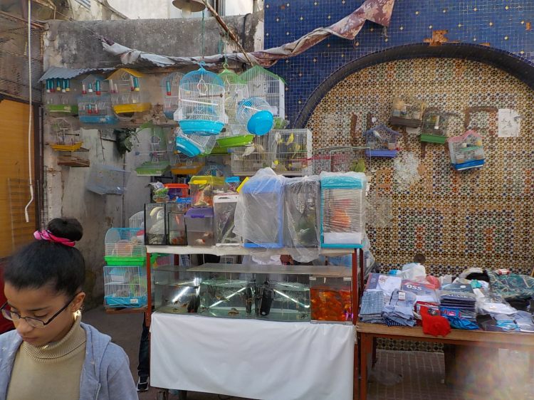 3.29.16 Rabat Medina-004