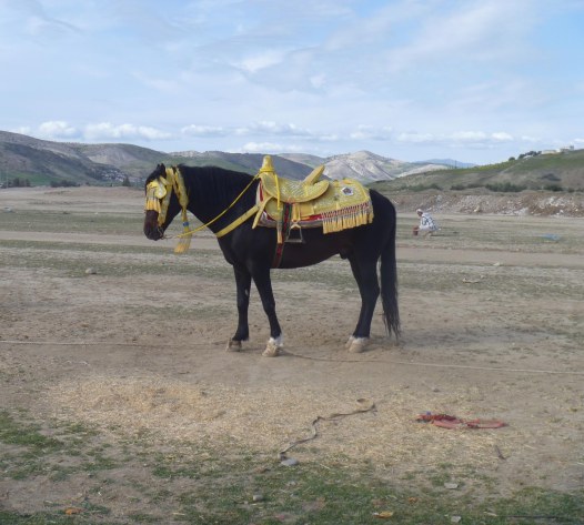 4.17.16 Tissa fantasia-029