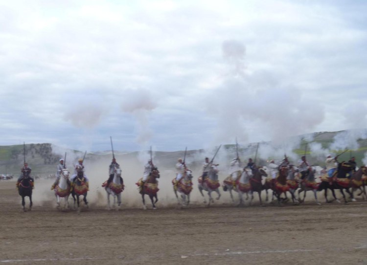 4.17.16 Tissa fantasia-082sm