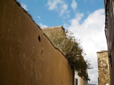 4.5.16 Medina walk-006