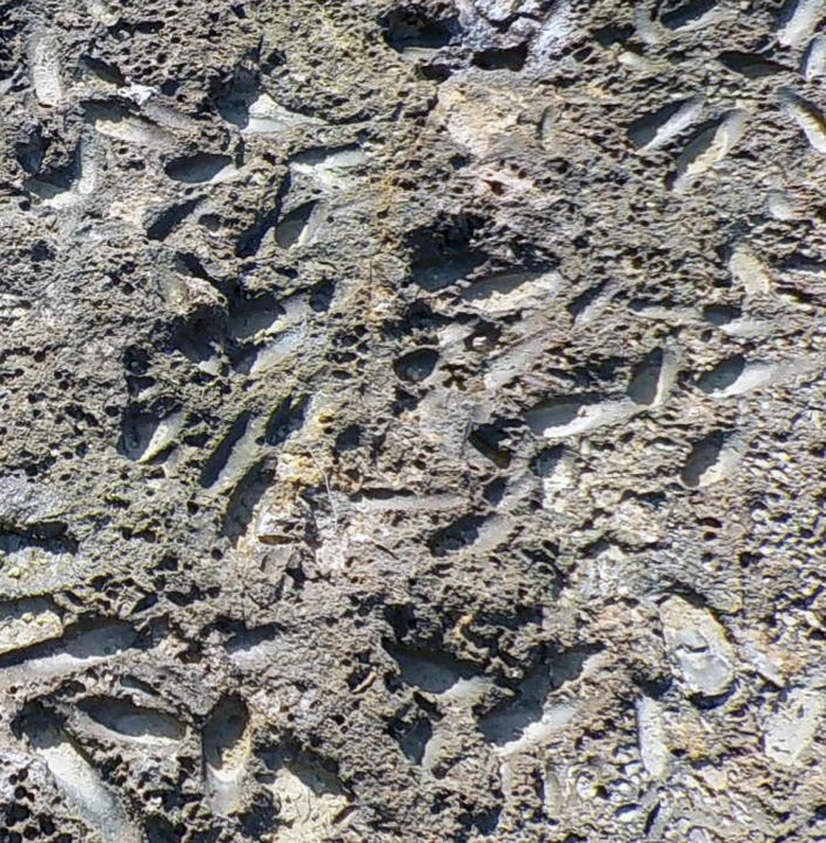 5.28.16 Praia de Foz-013sm