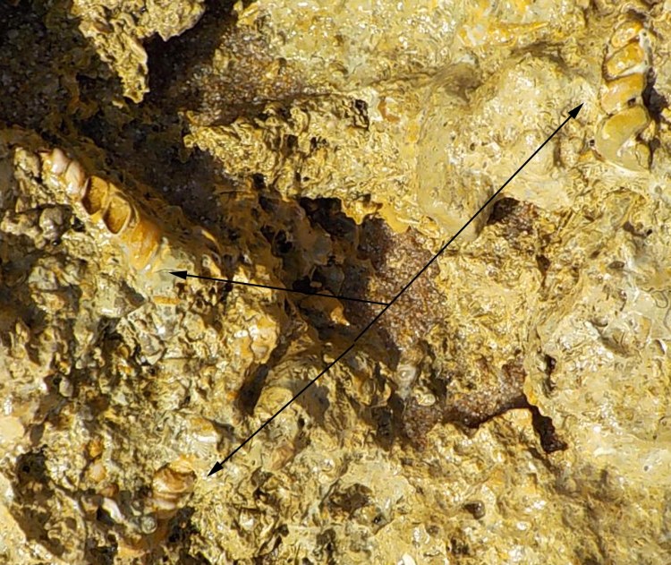 5.28.16 Praia de Foz-017sma