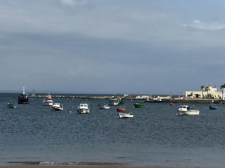 5.6.16 Cascais area-047