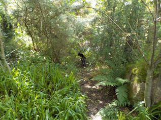 7.13.16 Royal Bot Garden-004