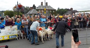 Distracted part way along the course