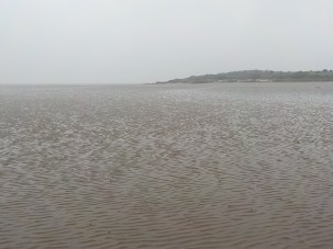 8.2.16 Rockcliffe-001