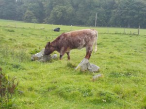 9.1.16 Kilmartin Glen-029