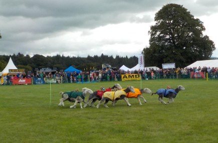 8-21-16-drumlanrig-castle-012sm